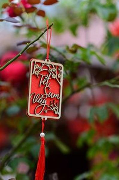 tiến lên di động Sodo